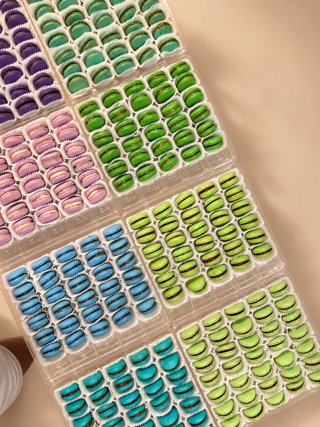 Trays of macarons in eight custom shell colors, shading from purple to blue to match a client’s ombré logo